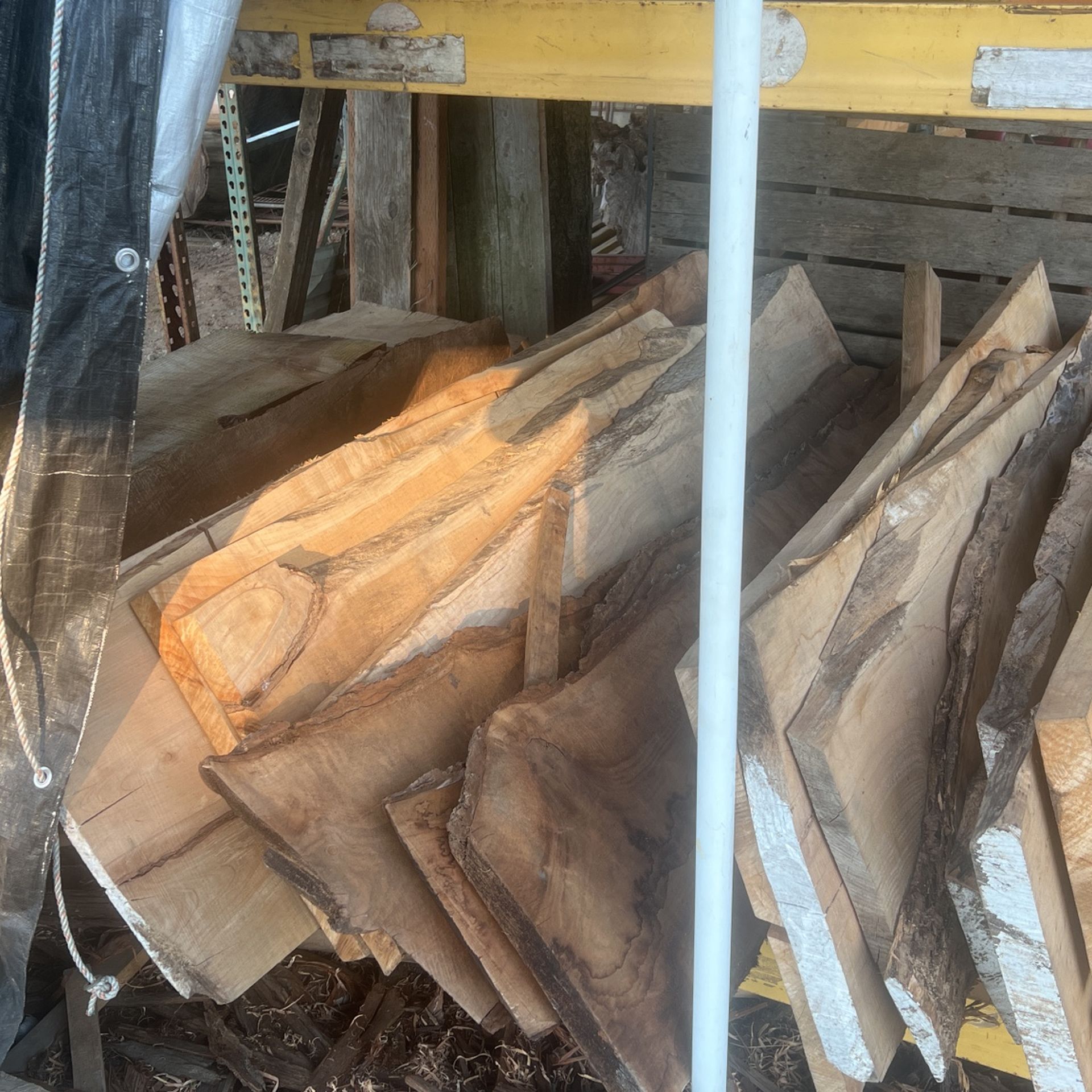 Live Edge Slabs, Maple, Birdseye Maple, Walnut, Birch, Cherry, Cedar,Oak,Lots Of Birdseye Burls As Well.