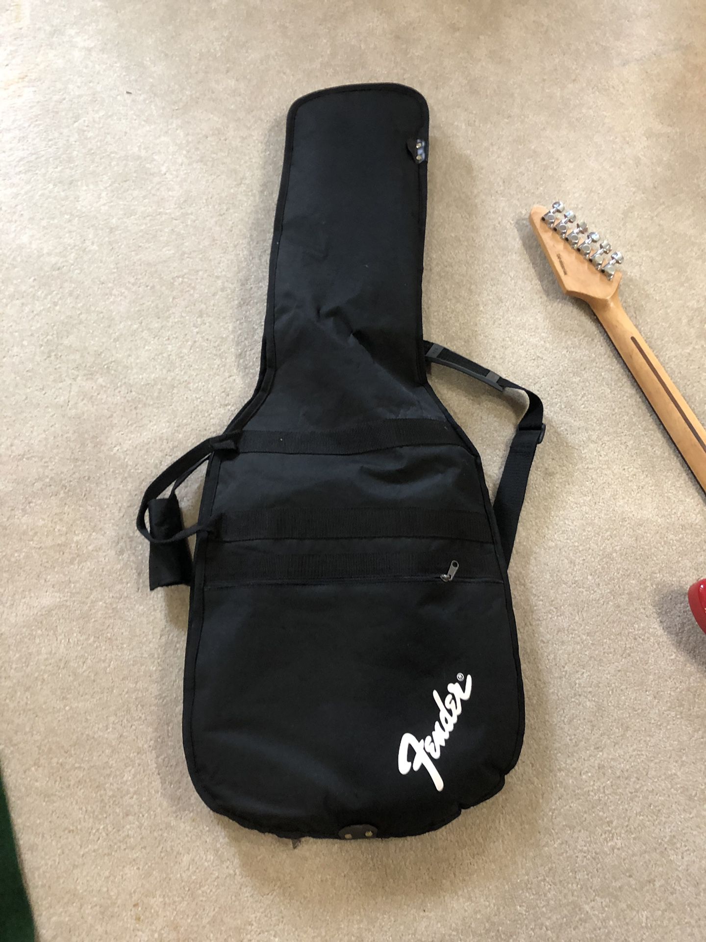 Travel bag for Guitar