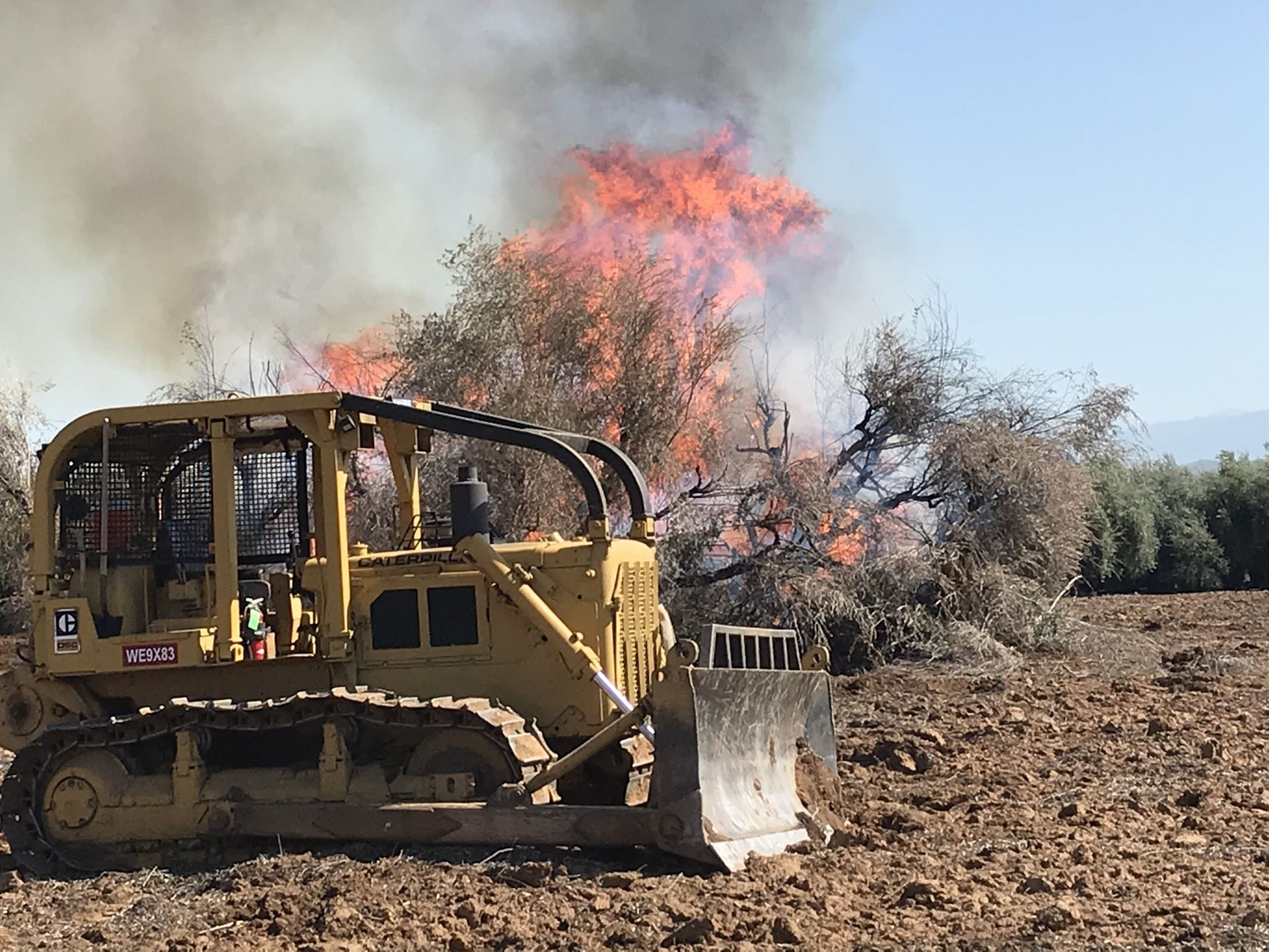 Rector‘S Dozer Work