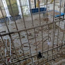 Love Bird Jaulas Cages Wire Etc... Cage Of Colors Blue Et ...