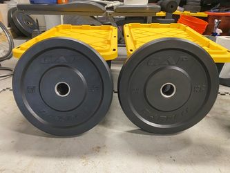 Pair of 35lb 2 inch Weight Plates