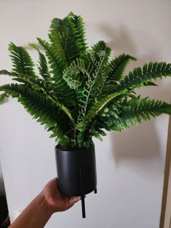 Artificial Fern in Pot