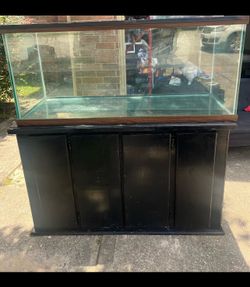 75g Tank