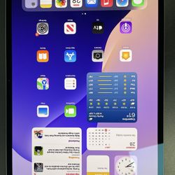 iPad Pro M4 256GB (846526-1)