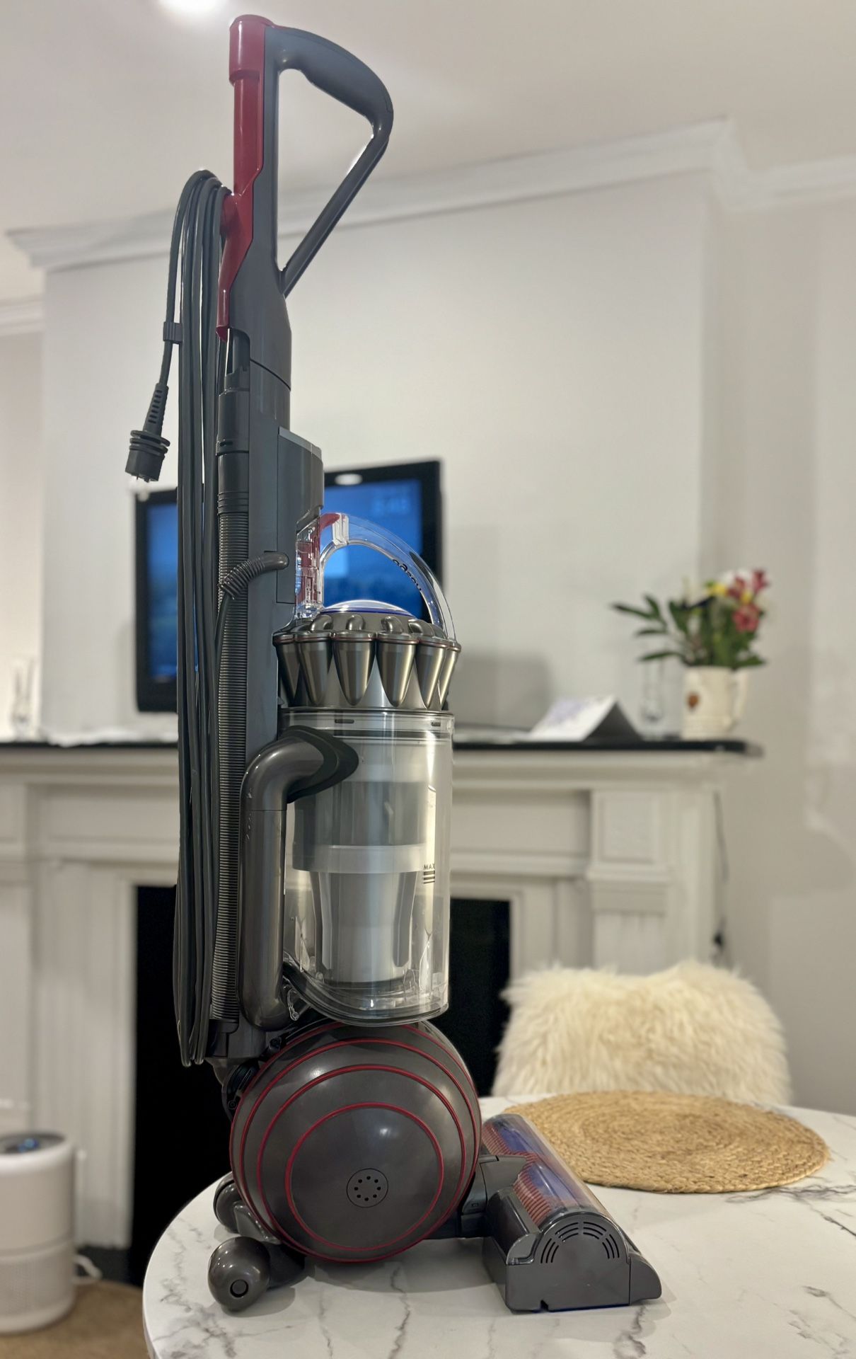 Dyson Animal 3