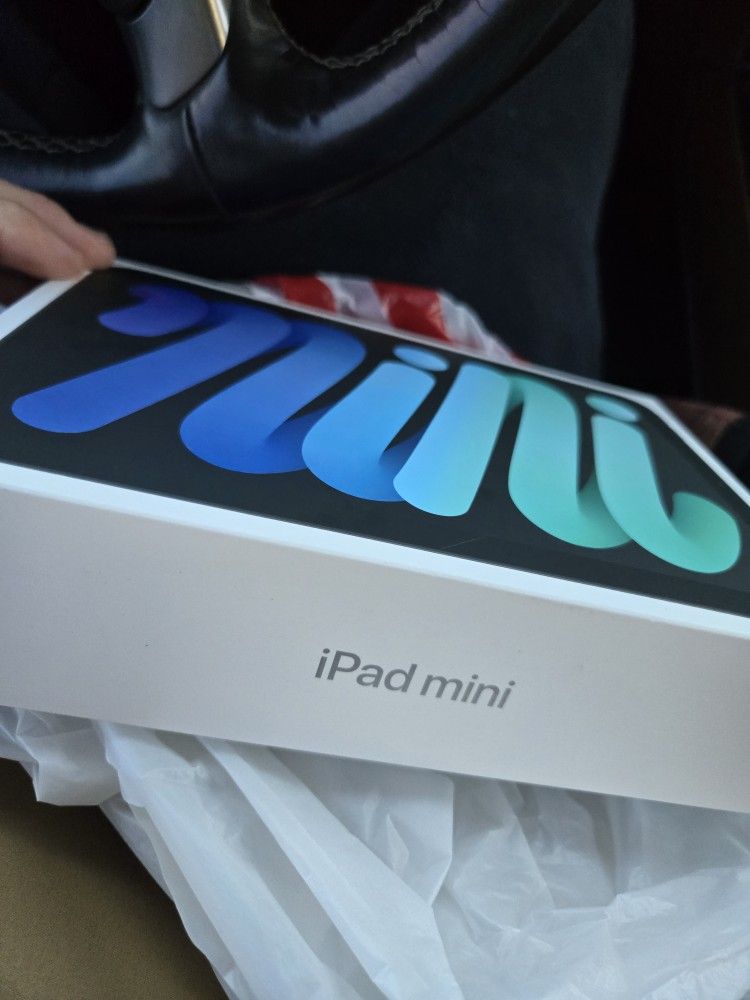 Apple Ipad Mini (A817pro)