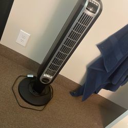 Fan