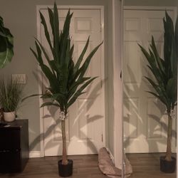 Artificial Plant 