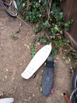 Lot of 2 Penny-Style Mini Cruiser Skateboards