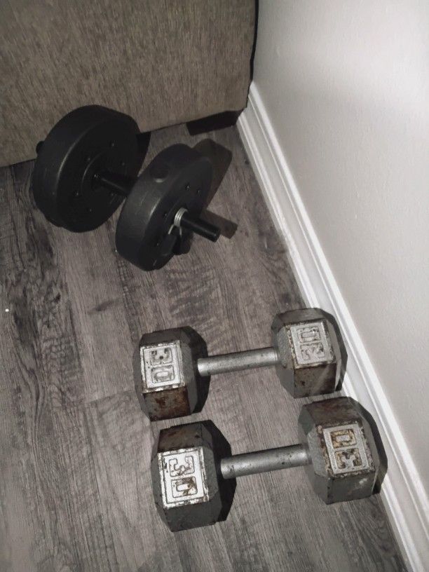 Free Weights