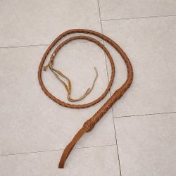 Braided Leather Whip 
