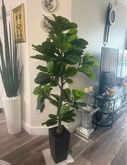 Pretty artificial plant fig tree 6 ft tall with planter ! Brand New