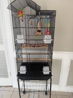 Parakeets/ Parrot Cages  black, white