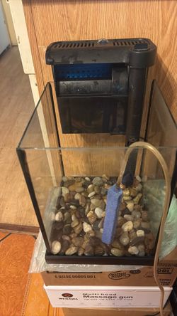 Fish tank