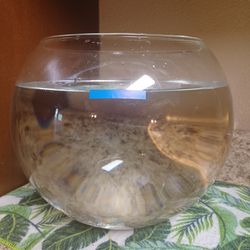 2.5 Gallon Glass Fishbowl