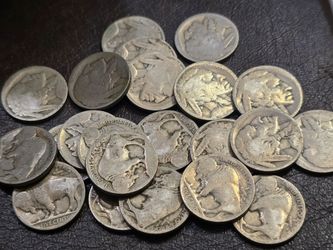 Buffalo Nickels