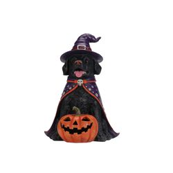 Halloween Black Labrador Retriever Dog Statue, Large Sitting Dog Figurine with Witch Hat & Cape, LED Light Up Jack-O-Lantern Pumpkin
