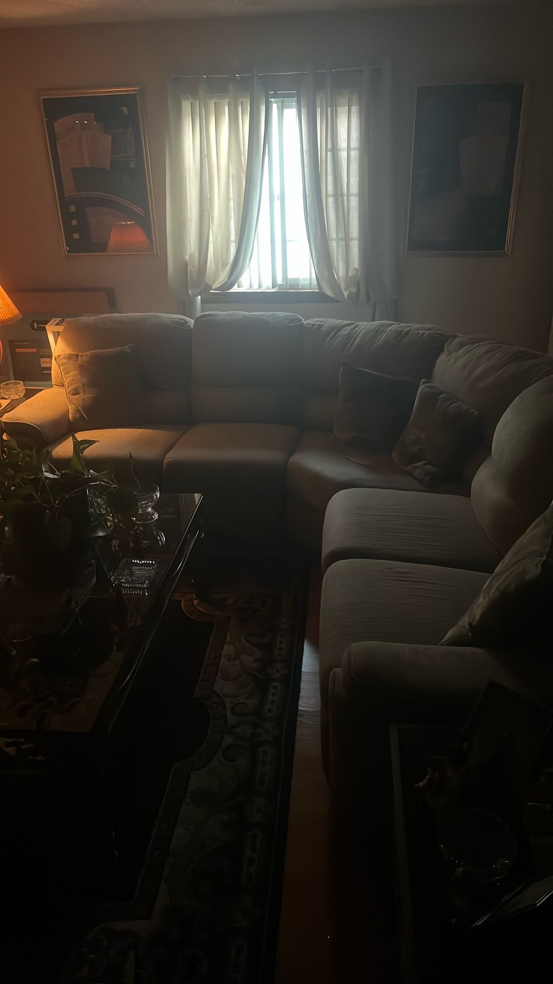 Living Room Couch