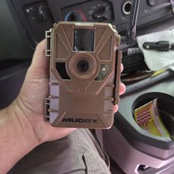 Trail Cameras 