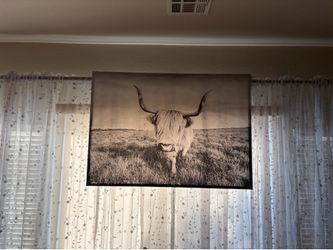 Large canvas picture of Highland cow