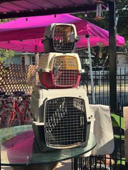 Dog cages