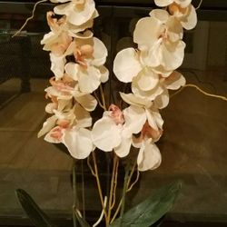Decoration 