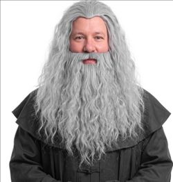 Gray wig & beard