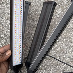 LED Grow Lights