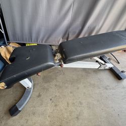Nautilus Adjustable Weight Bench. 