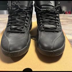 jordan 12 winter 