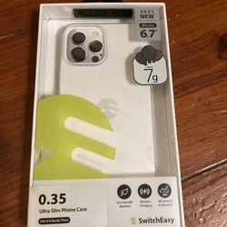 iPhone 6.7 Inch Case 