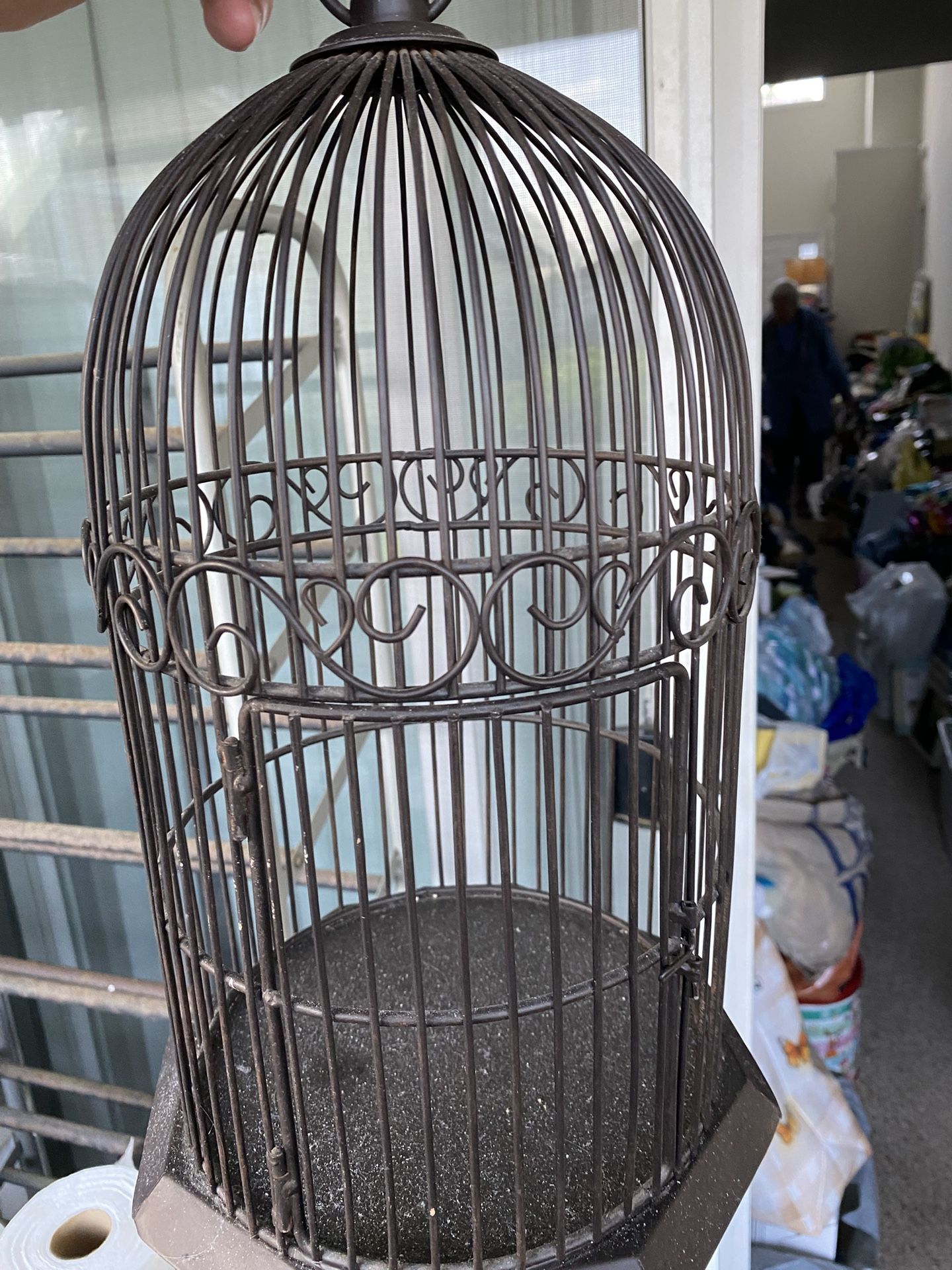 Bird Cage