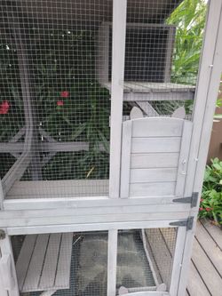 Two Story cage