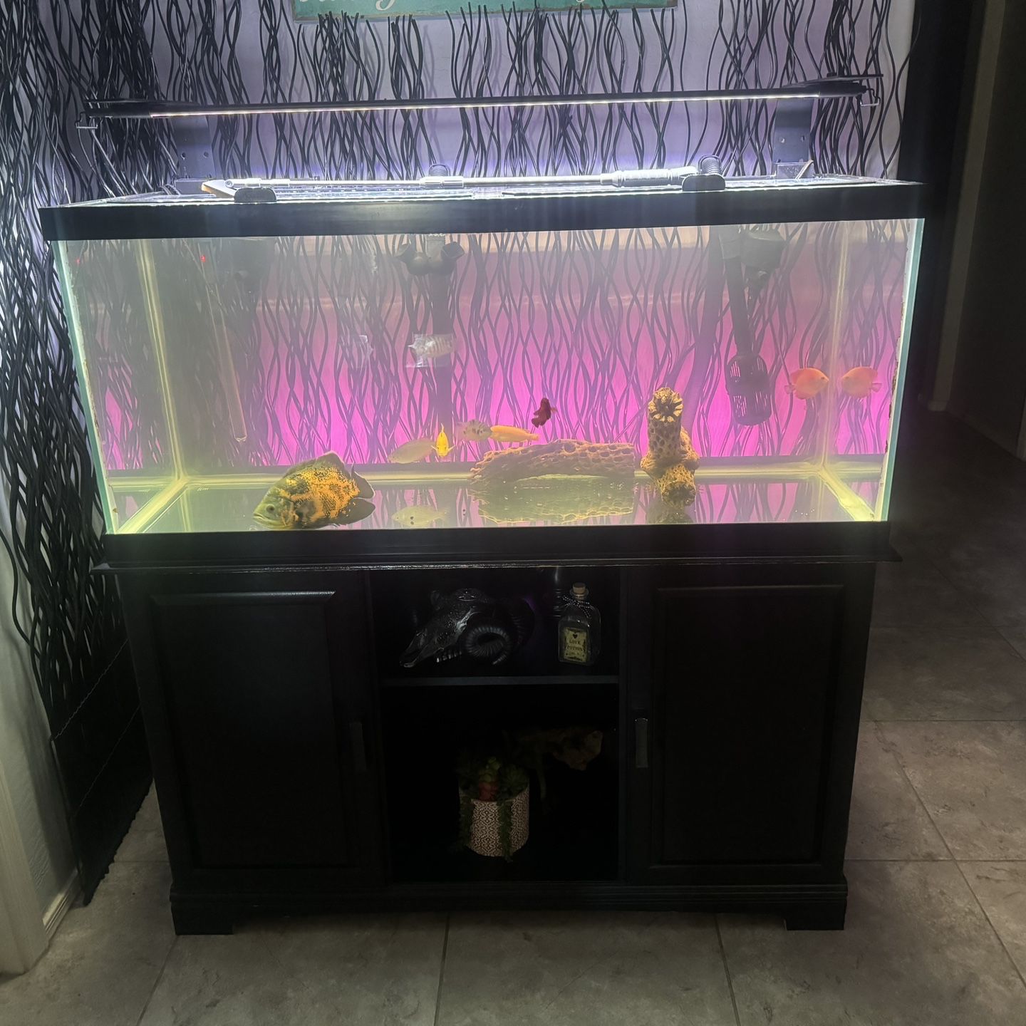 75 gal Aquarium w/ Stand, Lighting, Filtration And Fish