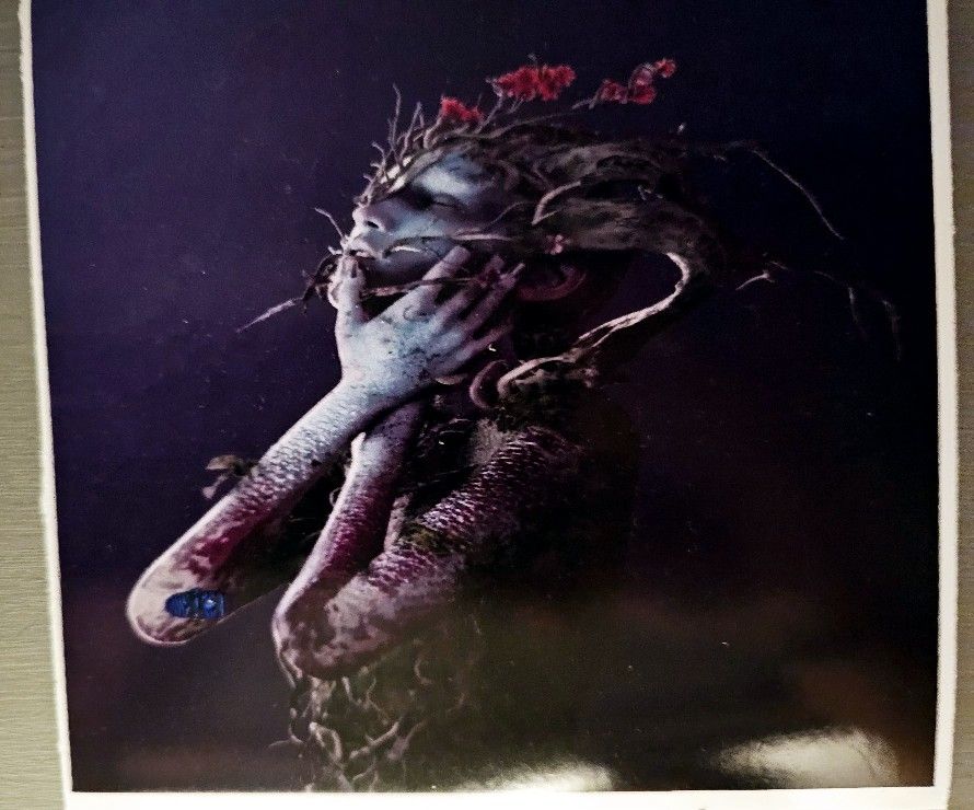 Anyma The End Of Genesys Afterlife Decal