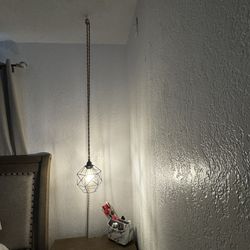   2 Plug In Hanging Light 