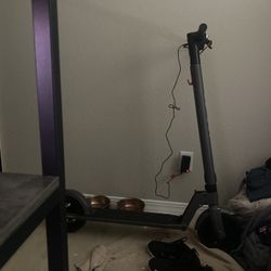 Gotrax Electric Scooter 