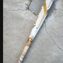 Easton Ghost BBCOR Baseball Bat