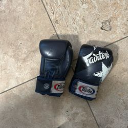 Kick Boxing Gloves 