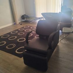 Professional Salon Chair 