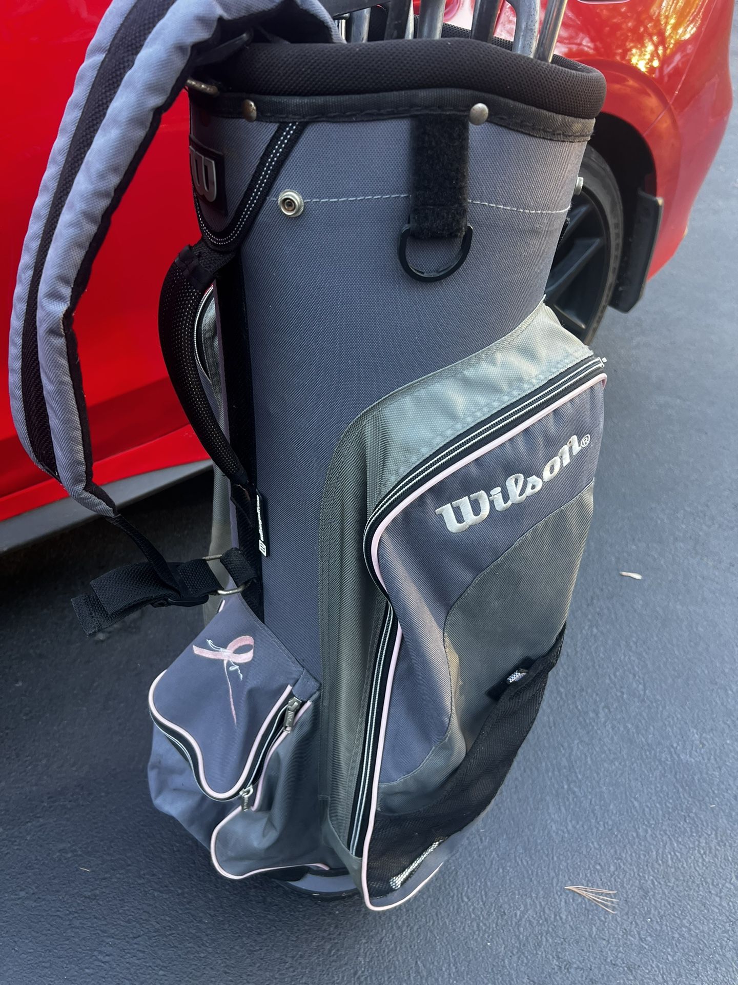 GOLF, women’s Right Hand Set, Irons, Two Metal Woods, GR88 Pink And Gray Bag, All For $129 And Includes The Putter