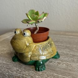 New Little Flower Pot Made Out Of Cement 