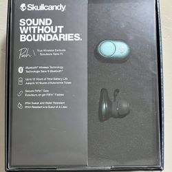 Skullcandy PUSH True Wireless In-Ear Earbuds Headphones Bluetooth Teal