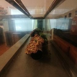 800 Gallon Fish Tank 