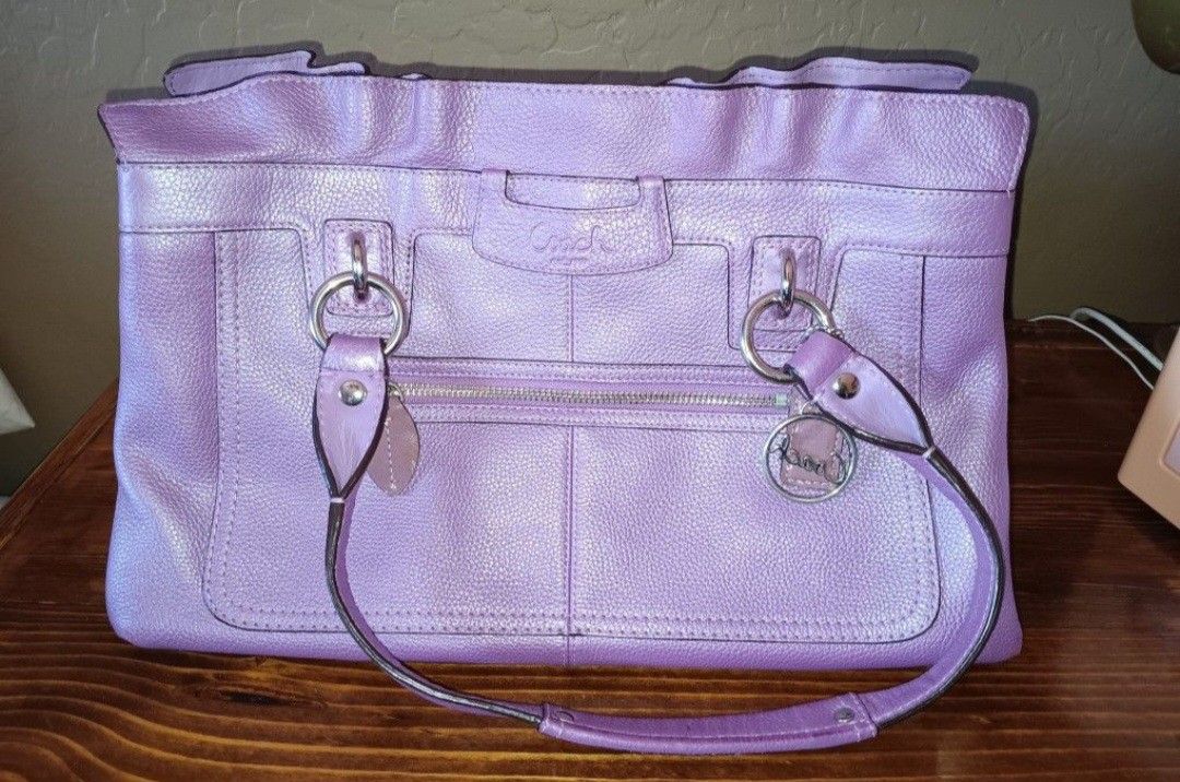 Coach Purse And Wristlet