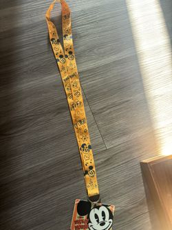 Disneyland Lanyard Pin