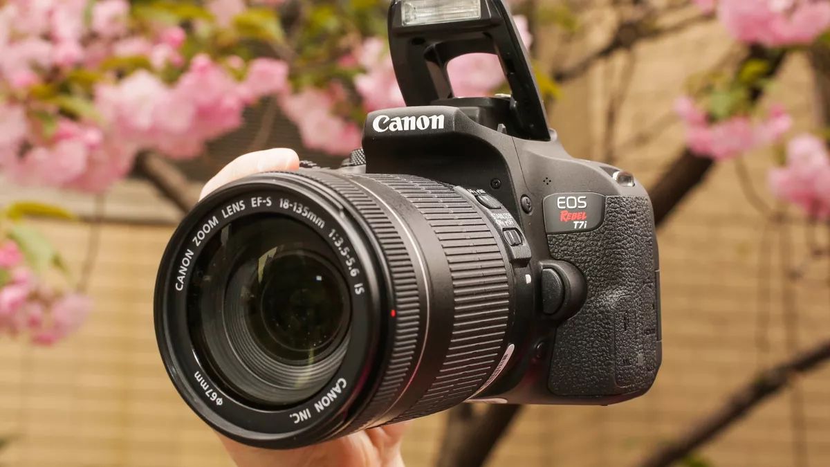 Canon Rebel T7i (with 18-55mm Kit Lens)