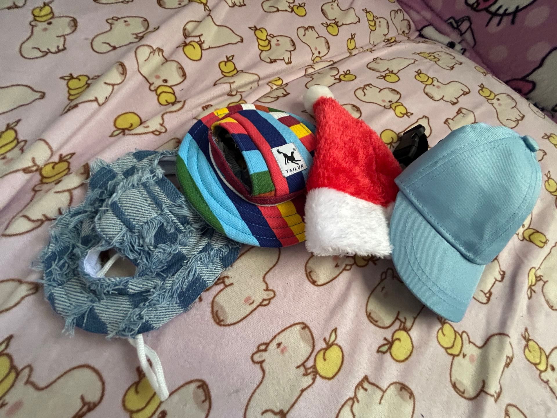 Dog Hats
