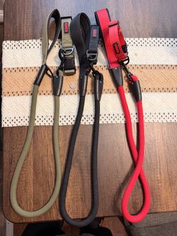Kong Dog Leash/Collar Sets
