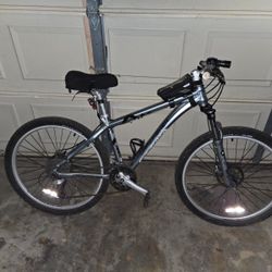 Trek Bike